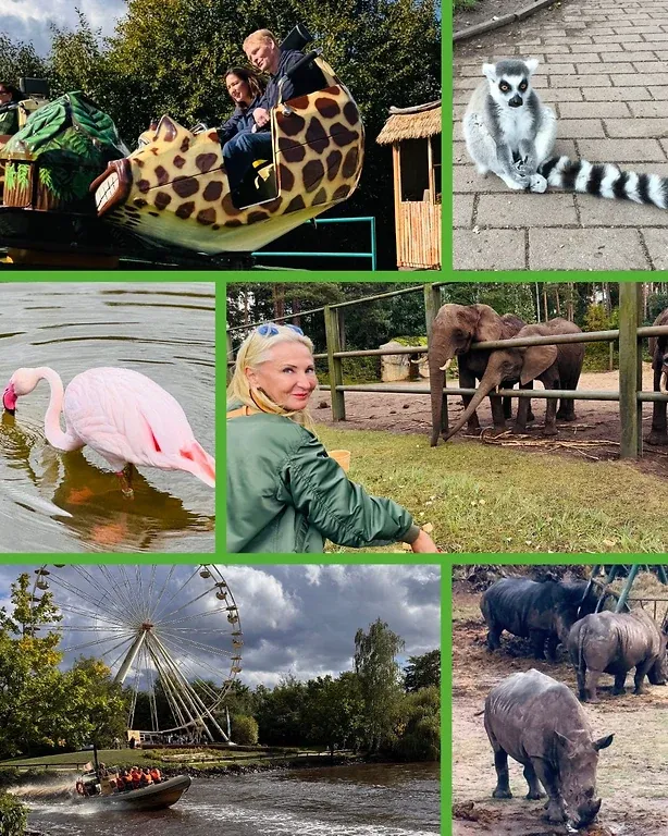 Bildtafel aus sechs Aufnahmen eines Tierparks: Karussellfahrt, Lemur, Flamingo, Elefanten, Riesenrad und Nashörner
